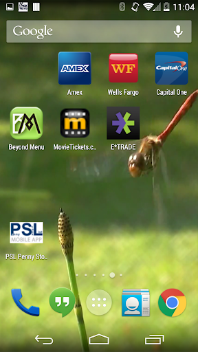Real Dragonfly Live Wallpaper
