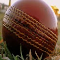India vs SA Live Cricket Score logo