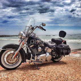 Softtail Heritage by Neil Brown - Transportation Motorcycles