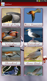 Birds Calls Sounds Screenshots 6