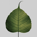 Dhammaloka logo