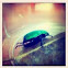 Fig eater beetle