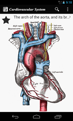 【免費醫療App】Gray's Anatomy 2012-APP點子