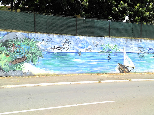 Street Art Plage and Pirogue