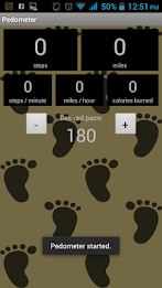 Pedometer by AppNext Level poster 12