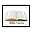 Bible Verses Download on Windows