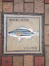 Fish Plate Shimaisagi