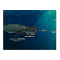 鯨とイカライブ壁紙 Androidアプリ Applion