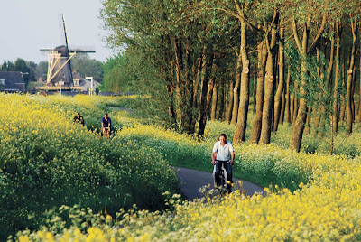Cycling near Delft, between The Hague and Rotterdam in the Netherlands.