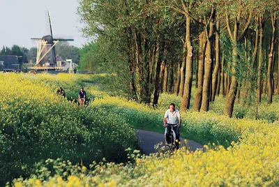Cycling near Delft, between The Hague and Rotterdam in the Netherlands.