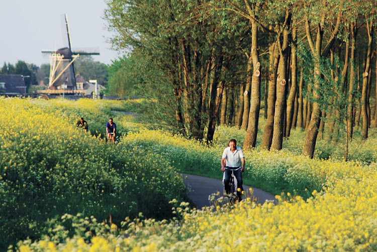Cycling near Delft, between The Hague and Rotterdam in the Netherlands.