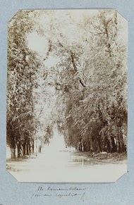 De Tamarindelaan (in den regentijd)