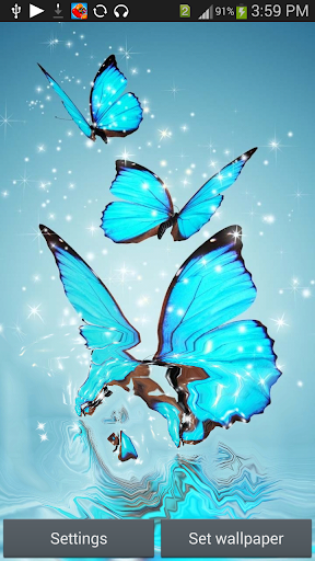 【免費攝影App】Cool Blue Butterfly HD Live WP-APP點子