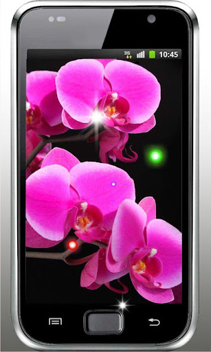 Diamond Orchide live wallpaper