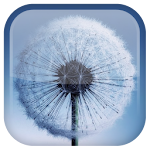 Cover Image of Download Galaxy S3/S5 Live Wallpaper 1.5.0 APK