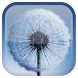 Galaxy S3 Dandelion LWP