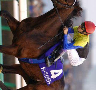 √1000以上 競馬壁紙スマホ 260445