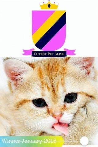 【免費新聞App】Posh Pet World-APP點子