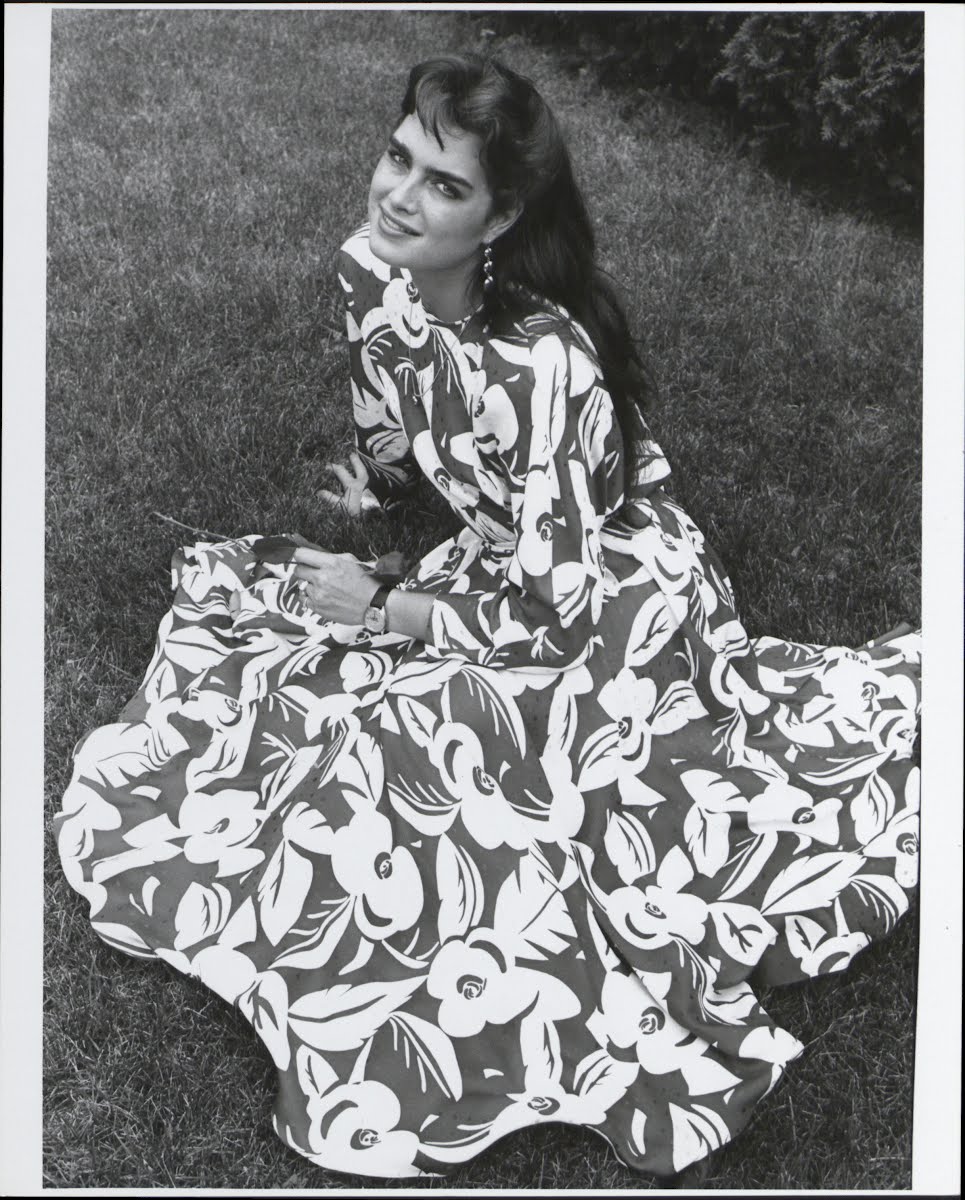 Brooke Shields 1987-1996 — Google Arts & Culture