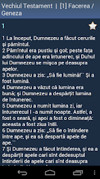 Romanian Holy Bible poster 3