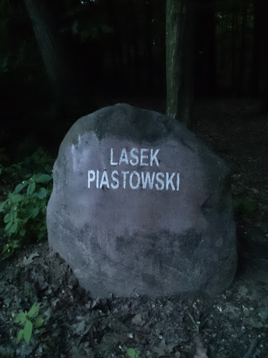 Lasek Piastowski