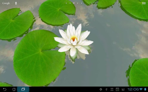 3D Lotus Live Wallpaper Free