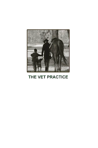 Vet Practice