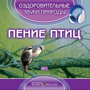 Пение птиц (звуки природы) logo