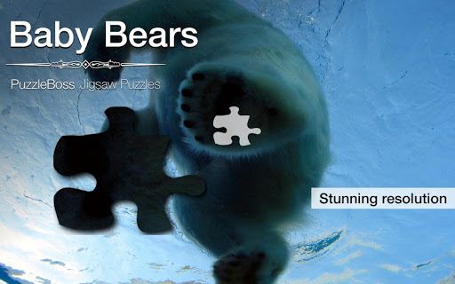 Baby Bear Jigsaw Puzzles Demo