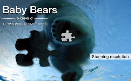 Baby Bear Jigsaw Puzzles Demo poster 1