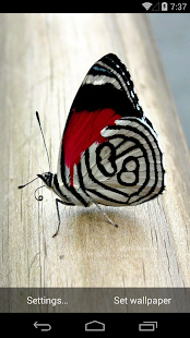 Butterflies Live Wallpaper Screenshots 4