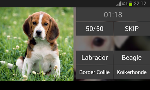 Guess the puppy Screenshots 6