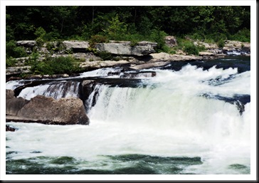 2008rafting0104