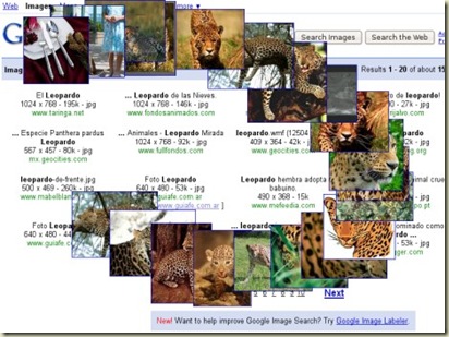 google-images-movimiento