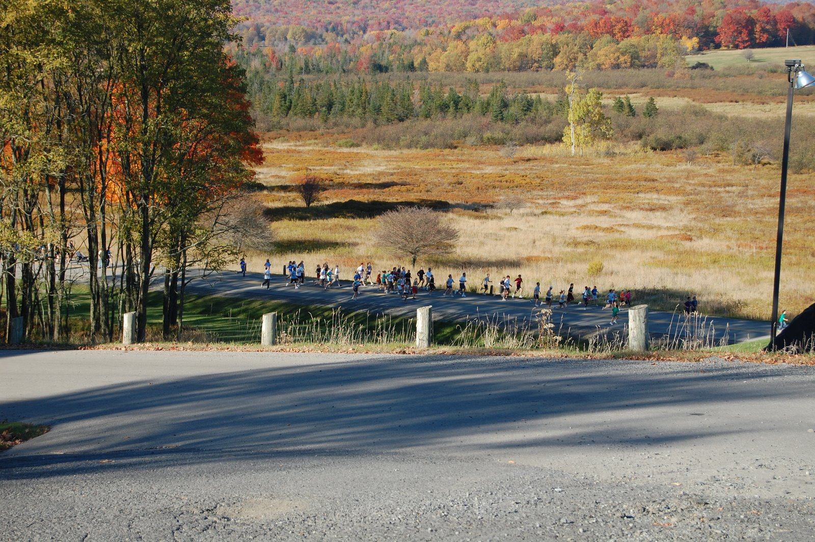 [DSC_0040[2].jpg]