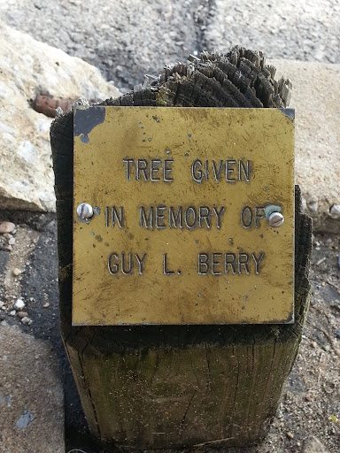 In Memory of Guy L. Berry