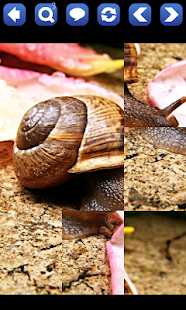 How to install Jigsaw Puzzle Insects and Bugs 1.0.3 unlimited apk for android