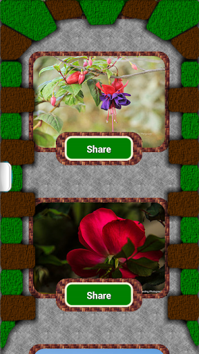 【免費生活App】Flower Mania Photo Share Free-APP點子