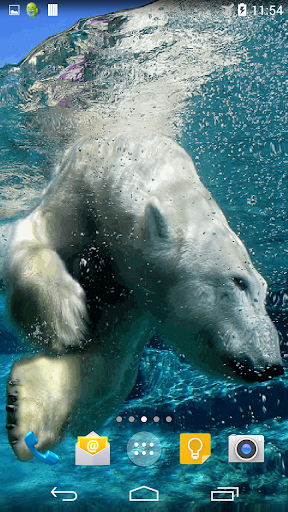 免費下載個人化APP|Polar Bear Live Wallpaper app開箱文|APP開箱王