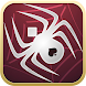 Spider Solitaire+ icon