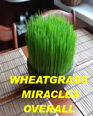 【免費健康App】Wheat Grass Overall Benefits-APP點子