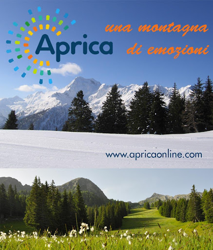 Aprica