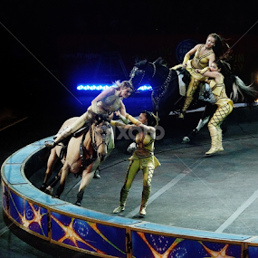 Circus Lady Horse Riders by Stephen Beatty - News & Events Entertainment