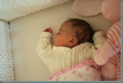 EllenApril08_3233
