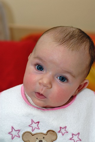 [DSC_05978[2].jpg]