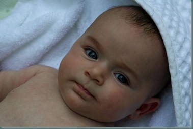 EllenJune08_26126