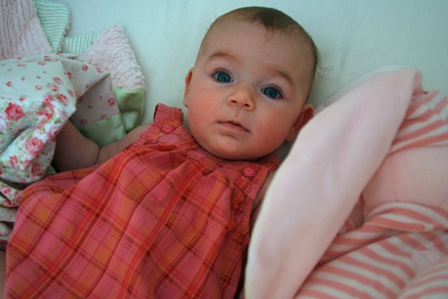 [EllenJune08_4711[2].jpg]