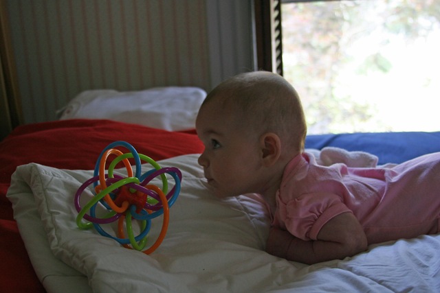 [EllenJuly08_2523[2].jpg]