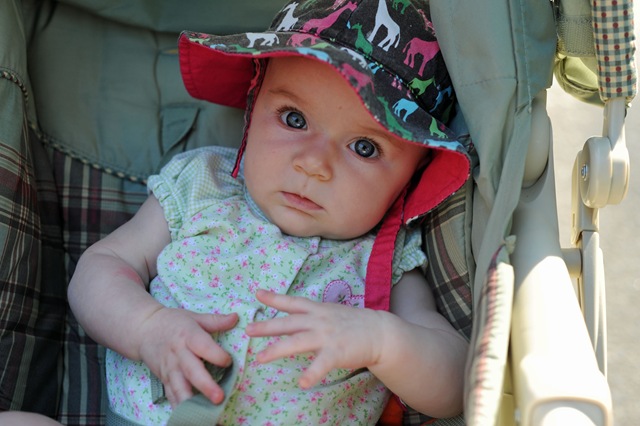 [DSC_021236[4].jpg]
