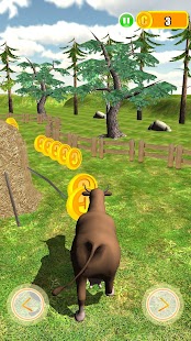 Mucca Screen 2